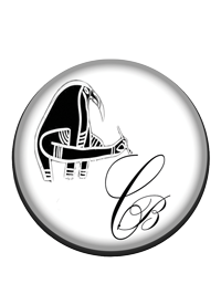 Copyright CV-Webdesigner